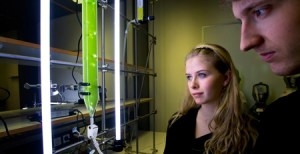 University-of-Iceland-research-students-2